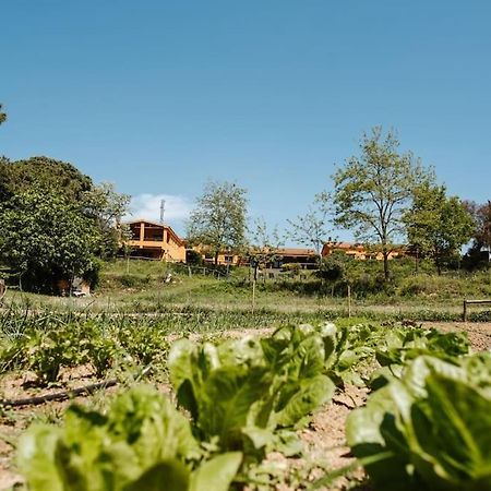 Casa Rural En El Campo Las Dalias Тордера Экстерьер фото